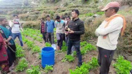 पौड़ी: उद्यान विभाग ने जल्लू गांव में आलू की खेती को कुरमोला से बचाने के लिए ग्रामीणों को दी जानकारी