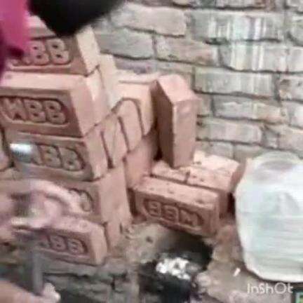 साहिबगंज: शोभनपुर भट्ठा से स्नेक रेस्क्यूर ने जहरीले गोहमन सांप और 25 अंडों को सुरक्षित जंगल में छोड़ा