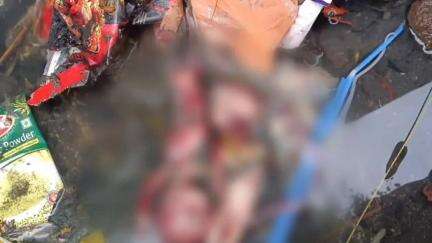 గూడూరులో దారుణం.. మురికి కాలువలో ఏడు నెలల ఇద్దరు పసికందులను పడేసిన గుర్తుతెలియని వ్యక్తులు