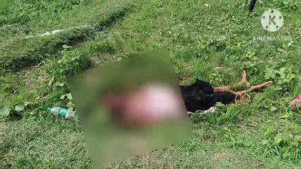 नोखा: नोखा के लेवड़ा उत्तर टोला में मूंग के खेत में धारदार हथियार से मां और दो बेटियों पर हमला, दो की मौत, एक का इलाज जारी