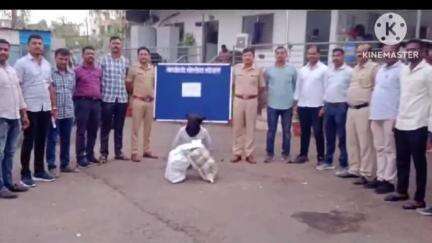 हवेली: वाघोलीत 8 किलो 402 ग्रॅम गांजासह एक जण अटकेत