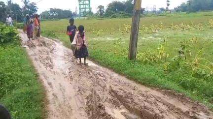 ବସ୍ତା: ଘଣ୍ଟିଆଡି ଆଦିବାସୀ ସାହି ମୁଖ୍ୟ ରାସ୍ତା ସମସ୍ୟା ନେଇ ଗ୍ରାମବାସୀଙ୍କ ପ୍ରତିକ୍ରିୟା #jansamasya