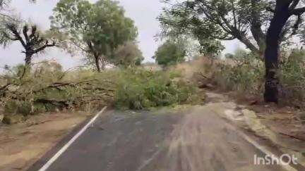 हटा: पाली गांव में तेज़ आंधी के चलते कई जगहों पर गिरे पेड़ व घरों के उड़े छप्पर, जनजीवन हुआ प्रभावित
