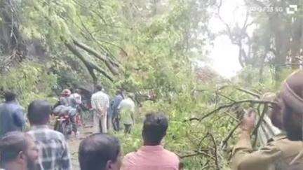குன்னூர்: குன்னூர் மேட்டுப்பாளையம் சாலையில் இன்று மாலை மரம் விழுந்ததால் போக்குவரத்து பாதிப்பு