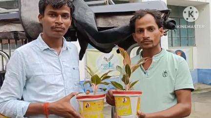 साहिबगंज: रसूलपुर दहला के युवक ने बहन की शादी के लिए पर्यावरण संरक्षण का संदेश देता निमंत्रण कार्ड बनवाया