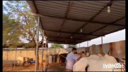 गोंदिया: जिल्ह्यातील नागरिकांनो वैयक्तिक लाभाच्या योजनांसाठी 1 जून पर्यंत करता येणार अर्ज