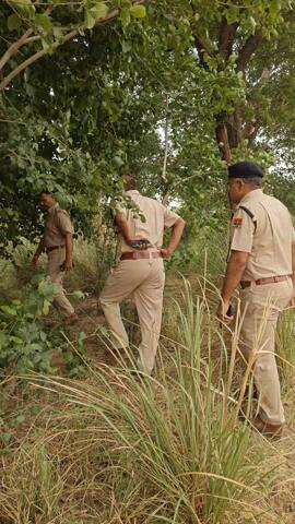 नदबई: नदबई के अलीपुर गांव के जंगल में प्रेमी युगल ने खाया विषाक्त पदार्थ, हुई मौत