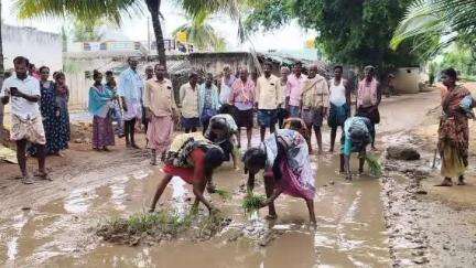 రొల్ల మండలంలోని మళ్లీనమడుగు ప్రధాన రహదారిపై గుంతలు పడడంతో వరినాట్లు వేసి నిరసన వ్యక్తపరచిన  ప్రజలు.