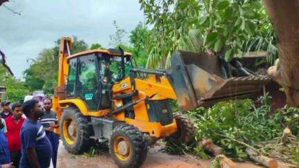 করিমগঞ্জ: টানা বৃষ্টিপাতে ফলে লোয়াইরপোয়ার রাঙ্গামাটির পূর্ত সড়কে উগড়ে পড়ল প্রকান্ড গাছ