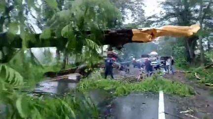 বোকাখাত: লতাবাৰীত ৩৭ নং ৰাষ্ট্ৰীয় ঘাইপথৰ ওপৰত গছ বাগৰি পৰাৰ ফলত এঘণ্টা ধৰি যাতায়াত ব্যাহত