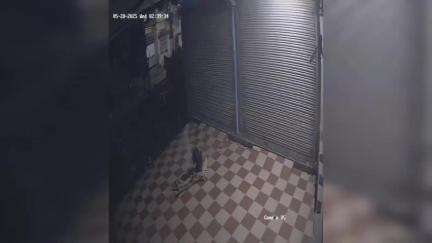 বারাসাত ১: মানসিক ভারসাম্যহীন মহিলাকে ধর্ষণের চেষ্টার অভিযোগ; আটক ট্রাক চালক, উদ্ধার CCTV ফুটেজ
