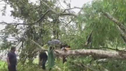 ওদালগুৰি: কলাইগাঁৱত ধুমুহা বৰষুণত পথৰ ওপৰত ভাঙি পৰিল প্ৰকাণ্ড গছ,যাৰ ফলত যানজোটৰ সৃষ্টি হৈ ব্যাহত হৈ পৰে যোগাযোগ ব্যৱস্থা