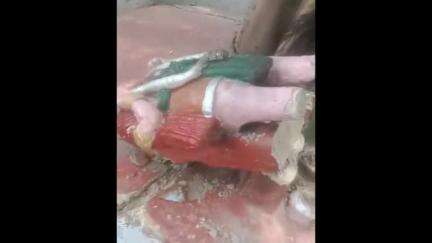 महसी: बलवापुर चौराहे के निकट स्थित मंदिर में स्थापित मूर्ति को शरारती तत्वों ने किया खंडित, पुलिस जांच और कार्रवाई में जुटी