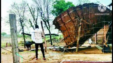 नांगल राजावतान: नांगल राजावतान क्षेत्र में धूलभरी आंधी से धूल के गुब्बार छाए, उदयपुरिया में अंधड़ से उड़ा छप्परपोश व टूटी टीनशेड