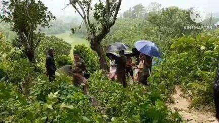 তেলিয়ামুড়া: বজ্রাঘাতে মৃত্যু হয় একটি বন্য হাতির, ঘটনা দক্ষিণ মহারানীপুরের ধোখাই কামি এলাকার গভীর জঙ্গলে