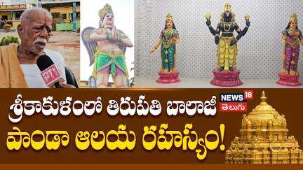 90 Years Old Builds Tirumala Temple Replica | 90 ఏళ్ల భక్తుడి అద్భుతం | Srikakulam Tirumala | N18V