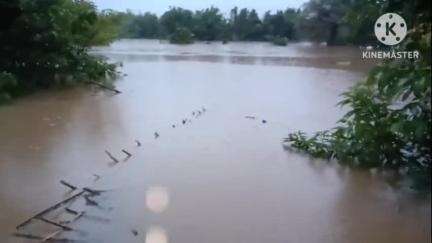নগাঁও: কচুৱাৰ বিভিন্ন অঞ্চলত হুৰাহুৰে সোমাইছে বৰপানী নদীৰ বাঢ়নী পানী,নেৰা নেপেৰা বৰষুণৰ বাবে পথৰ ওপৰদি বাগৰিছে বাঢ়নী পানী