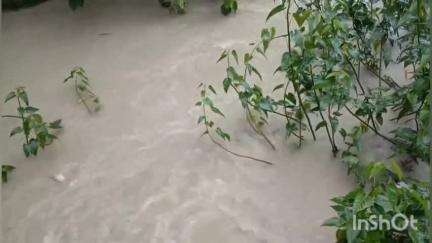 গোলাঘাট: আগন্তুক ২ টা দিনত বোকাখাতৰ ধনশিৰিমুখত বৃদ্ধি পাব ব্ৰহ্মপুত্ৰৰ জলপৃষ্ঠ, ঘোষণা কেন্দ্ৰীয় জল আয়োগৰ
