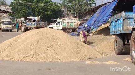 सरदारपुर: राजगढ़ की कृषि उपज मंडी में गेहूं की 2681 बोरी की हुई आवक, सोयाबीन के भाव में भी रही तेज़ी