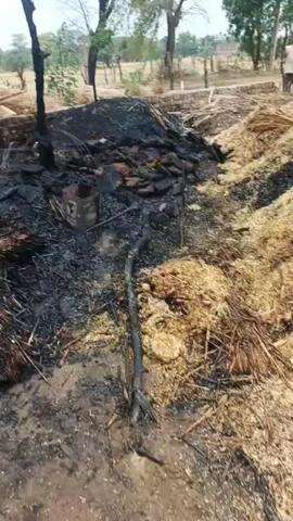 नदबई: बछामदी गांव में खेत के ऊपर से गुजर रही बिजली की लाइन टूटकर गिरी, तूड़ा व ईंधन जला और एक गाय व बछड़े की हुई मौत