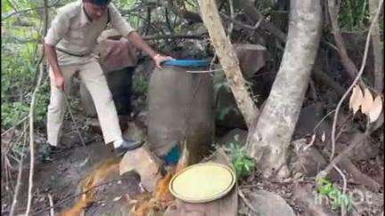 धमतरी: ग्राम सलोनी जंगल नाला में आबकारी अमले ने 30 लीटर अवैध महुआ शराब जप्त की, 900 किलो लाहान किया गया नष्ट