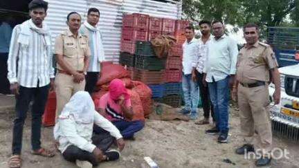 वाशिम: सावरगाव जिरे येथील हळद बेणे चोरी प्रकरणी दोन आरोपींना ग्रामीण पोलिसांनी 24 तासात केली अटक