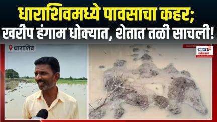 Dharashiv News |  धाराशिवमध्ये पावसाचा कहर; खरीप हंगाम धोक्यात, शेतात तळी साचली!
