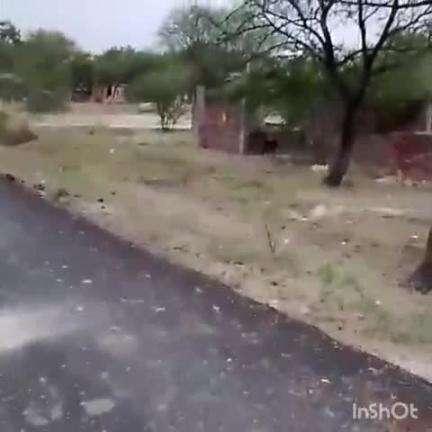 ऊंचाहार: ऊंचाहार देहात ग्राम पंचायत के युवक ने ग्राम प्रधान पर चहेतों को भूमि कब्जा कराने और आवास दिलवाने का लगाया आरोप