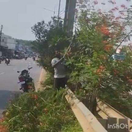 कोंडागांव: पब्लिक ऐप की खबर का हुआ असर, फरसगांव नगर के NH के डिवाइडर में लगे पेड़ पौधो के डंगलियो की कटाई हुई शुरू #jansamasya