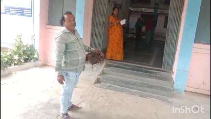 बुदनी: सांपों से परेशान पीलीकरार का व्यक्ति मरा मुर्गा लेकर तहसील कार्यालय पहुंचा, नाला बनाने की गुहार लगाई