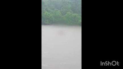 കോതമംഗലം: കുട്ടമ്പുഴയിൽ പുഴയിലൂടെ ഒഴുകിയ നിലയിൽ കാട്ടുപോത്തിന്റെ ജഡം ഇന്ന് കണ്ടെത്തി