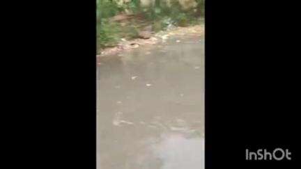 नरसिंहगढ़: 15 मिनट की बारिश में जलभराव: रामलीला मैदान और सरकारी कार्यालय के पास सड़कों पर पानी भरा, नपा की तैयारी पर सवाल