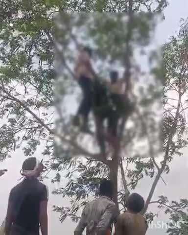कोलारस: बैड़ारी गांव: युवक ने फांसी लगाकर की आत्महत्या, पुलिस ने मामला दर्ज किया