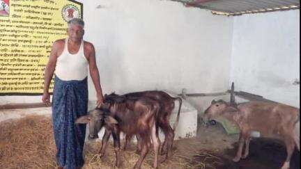 बलौदा: नवगवां गांव में मनरेगा से पशुपालन को मिला नया आधार, रामनारायण बने आत्मनिर्भरता की मिसाल