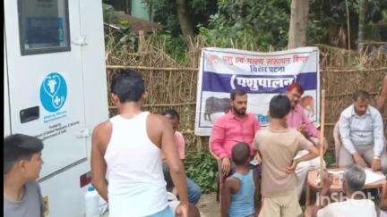 किशनगंज: किशनगंज के सालकी बस्ती में पशु एवं मत्स्य संसाधन विभाग, पटना द्वारा पशुपालन शिविर का आयोजन