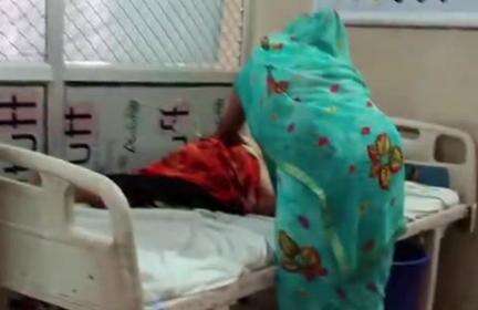 फतेहपुर: खागा के माहटेनी में महिला को जहरीले सांप ने काटा, बिगड़ी हालत में हॉस्पिटल में भर्ती