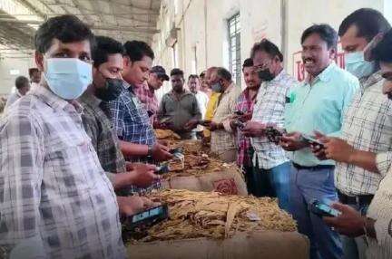 కొండపి: కొండపి పొగాకు వేలం కేంద్రంలో 534 పొగాకు బేళ్లు కొనుగోలు చేసినట్లు వేలం నిర్వహణ అధికారి వెల్లడి