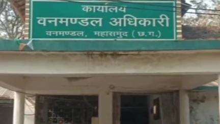 महासमुंद: महासमुंद जिले में मौसम के बदलाव से कम मिला समय, फिर भी तेंदूपत्ता खरीदी का पिछले वर्ष का रिकॉर्ड टूटा