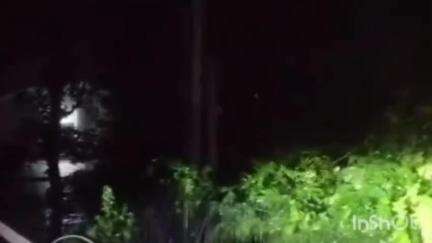 গোলাঘাট: চেপেনাকোবোৱাত ৩৭ নং ৰাষ্ট্ৰীয় ঘাইপথত উভালি পৰিল প্ৰকাণ্ড গছ, বিদ্যুতৰ খুঁটা, আবদ্ধ শ শ বাহন, উজনি-নামনি সংযোগ ব্যাহত