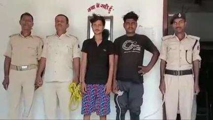 बंजरिया: बंजरिया पुलिस ने 70 लीटर चुलाई शराब के साथ एक तस्कर और एक शराबी को गिरफ्तार कर शुक्रवार न्यायिक हिरासत में भेजा