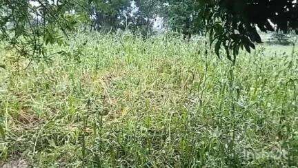 इगतपुरी: टाकेद बुद्रुक सहित अनेक गावांना अवकाळी व मनाऊनपूर्व पावसाचा फटका, नुकसान भरपाई देण्याची शेतकऱ्यांची मागणी #jansamasya