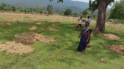 चक्रधरपुर: हिजिया गांव में जिला परिषद सदस्य मीना जोंको ने आम बागवानी कार्य का जायजा लिया