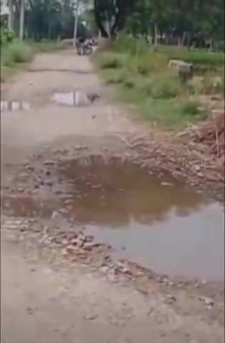 नवाबगंज: पंडरा-पहाड़ापुर मार्ग की हालत बदहाल, सड़क में गड्ढों से ग्रामीण परेशान, बारिश में हालात और बिगड़ रहे, प्रशासन से गुहार
