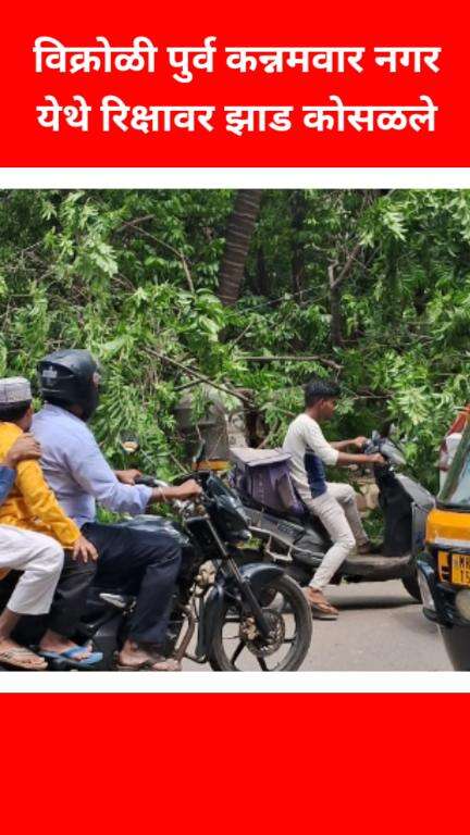 विक्रोळी पुर्व कन्नमवार नगर येथे रिक्षावर झाड कोसळले