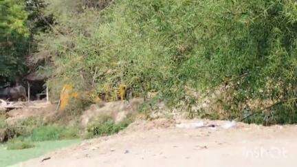 सिरौली गौसपुर: ग्राम पंचायत नवाबगंज में ग्राम प्रधान द्वारा जेसीबी से चक मार्ग की पटाई की जा रही, वीडियो सोशल मीडिया पर हुई वायरल