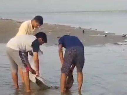 धनौरा: गजरौला के तिगरी गंगा धाम में नमामि गंगे के पदाधिकारी ने चलाया स्वच्छता अभियान, किया जागरूक