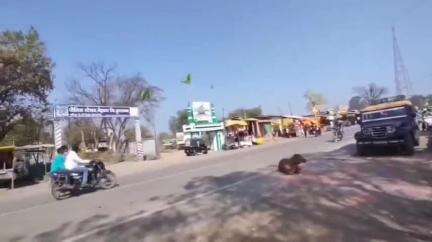 मेहकर: वकीला सहज चौघांनी केली न्यायालयाची फसवणूक मेहकर पोलीस स्टेशन येथे गुन्हा दाखल