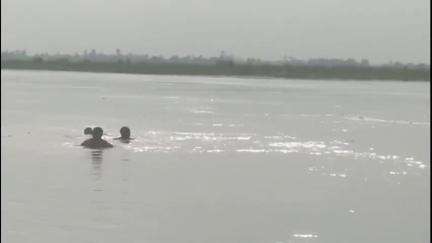 धनौरा: रील बनाने के चक्कर में गंगा में डूबा युवक, गजरौला के तिगरी गंगा धाम का मामला, दूसरे दिन भी तलाश जारी