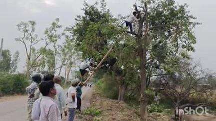 बिंदकी: बिंदकी कस्बा व क्षेत्र में लगभग 17 घंटे से विद्युत आपूर्ति बंद, जनजीवन प्रभावित और लोग परेशान