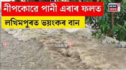 Lakhimpur flood News। নীপকোৱে পানী এৰাৰ ফলত লখিমপুৰত ভয়ংকৰ বান। N18V